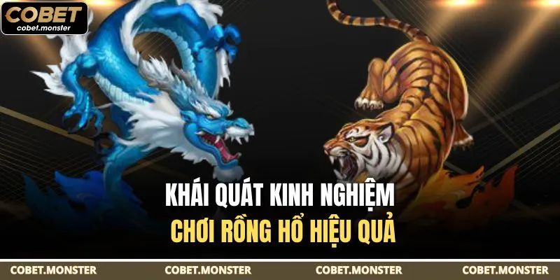 Khái quát kinh nghiệm chơi Rồng Hổ hiệu quả
