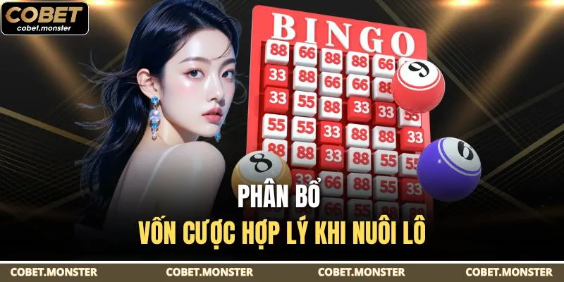 Phân bổ vốn cược hợp lý khi nuôi lô
